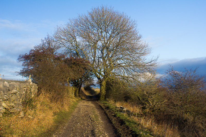 Brushfield Brushfield
